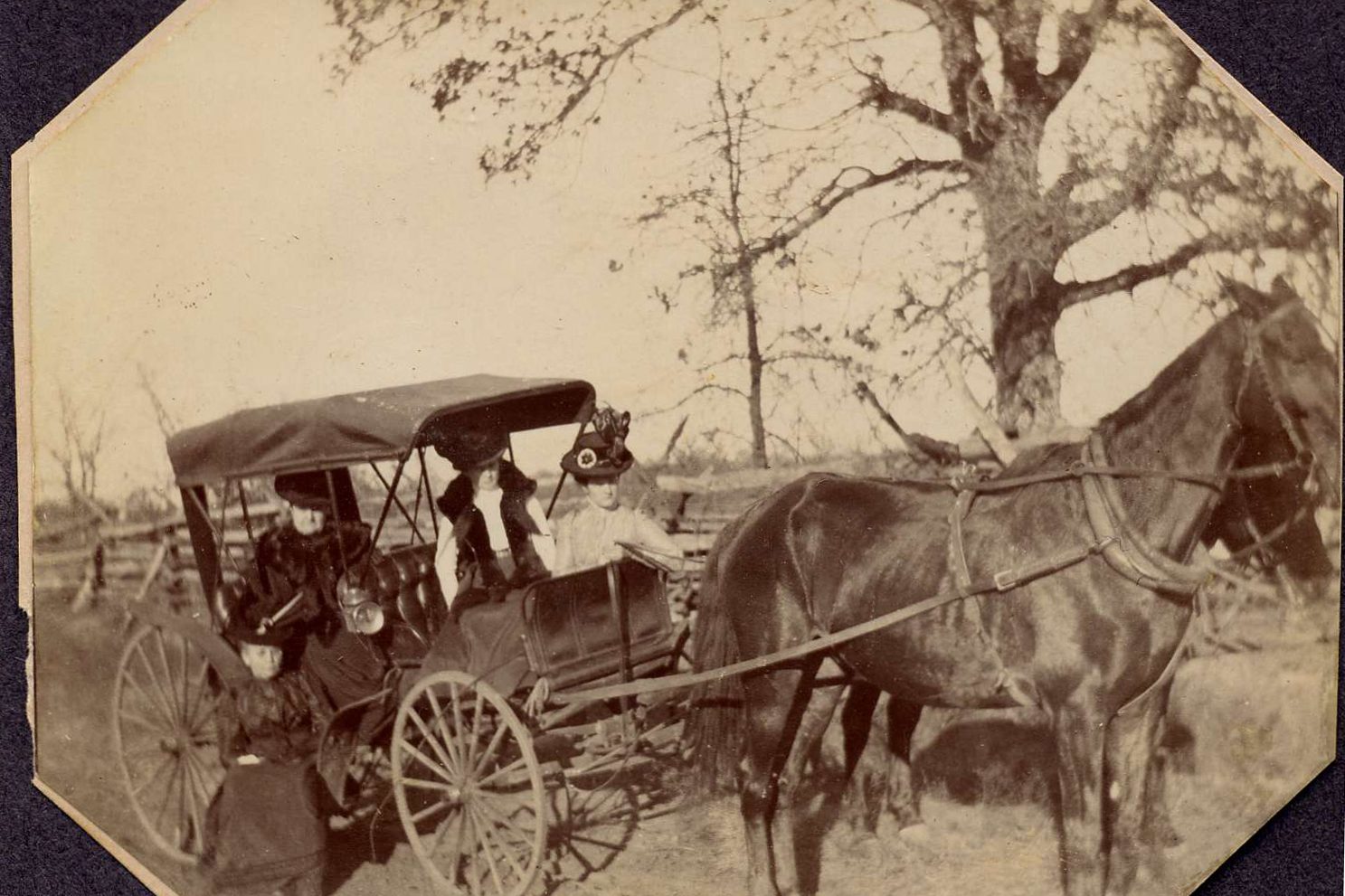 1900 women in a buggy 2