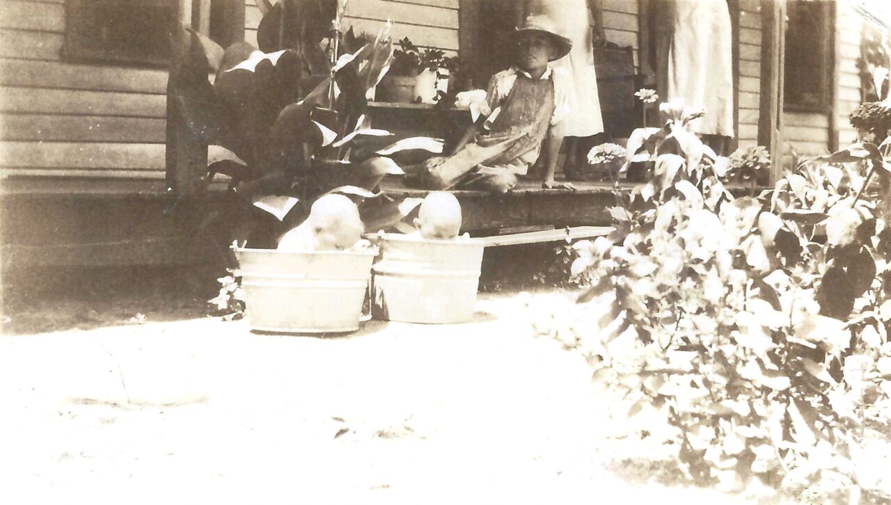 1935 - Russell twins in buckets as infants
