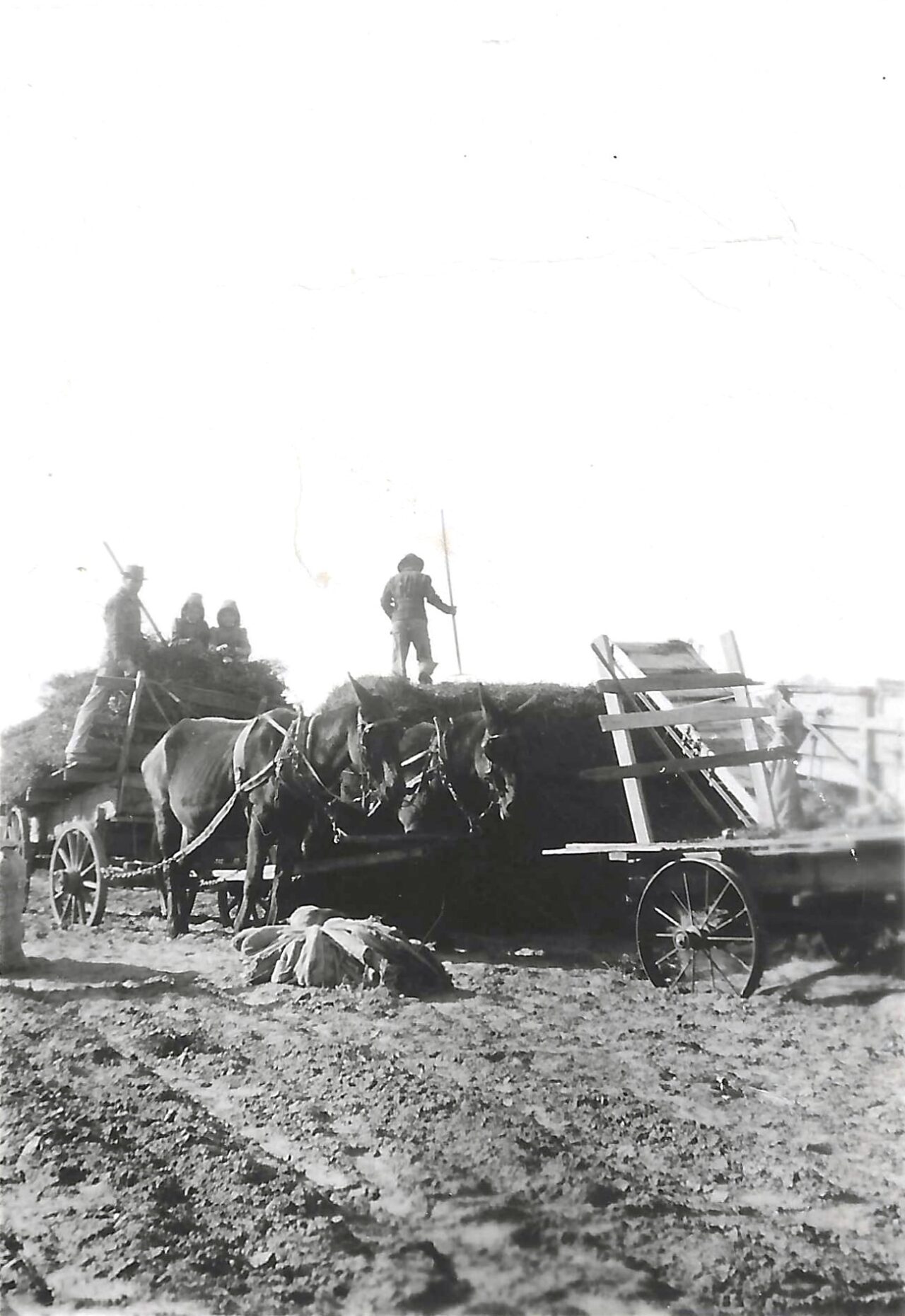 1943 - Charlie Russell Thrashing Peanuts