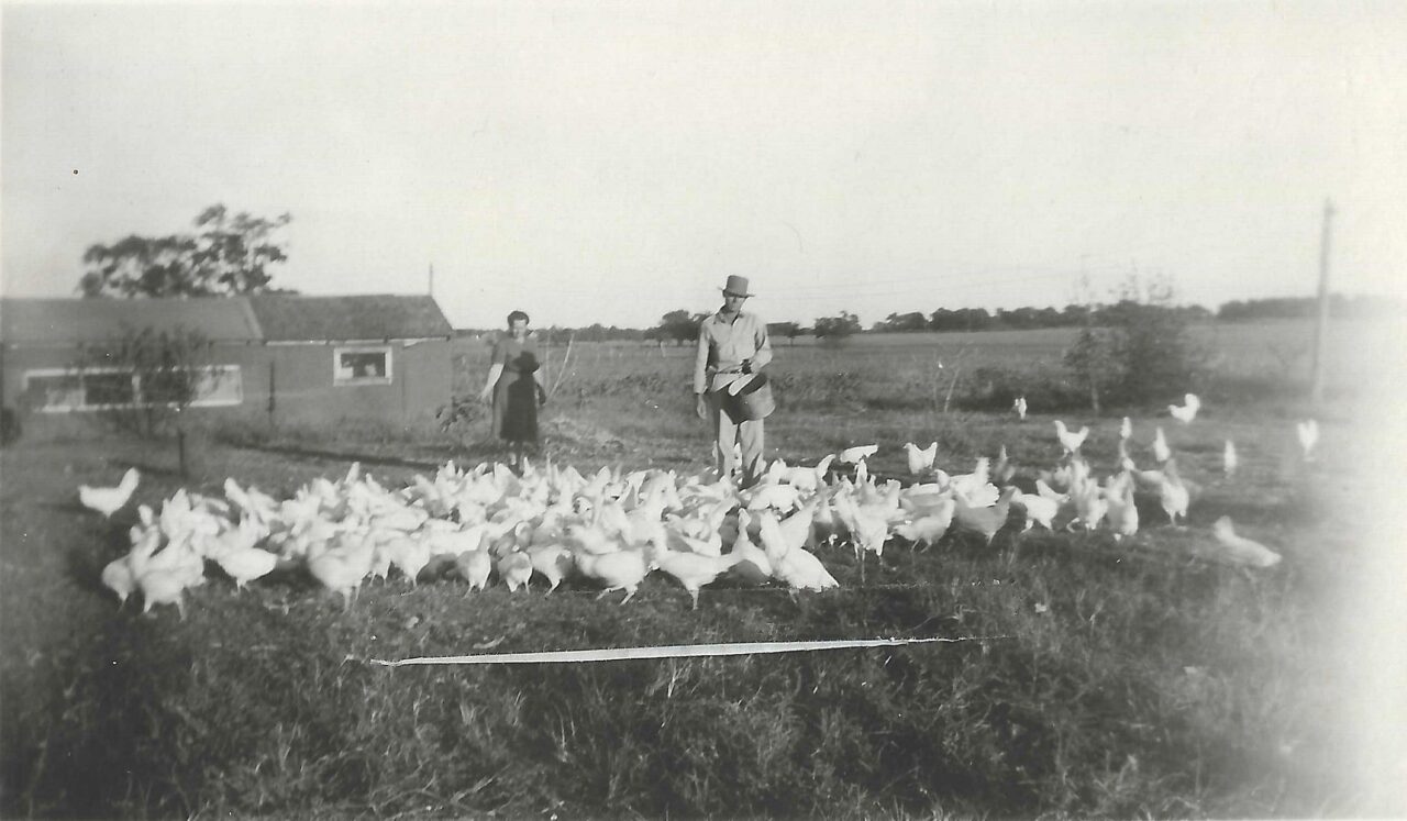 1942 - Russell Family Chickens