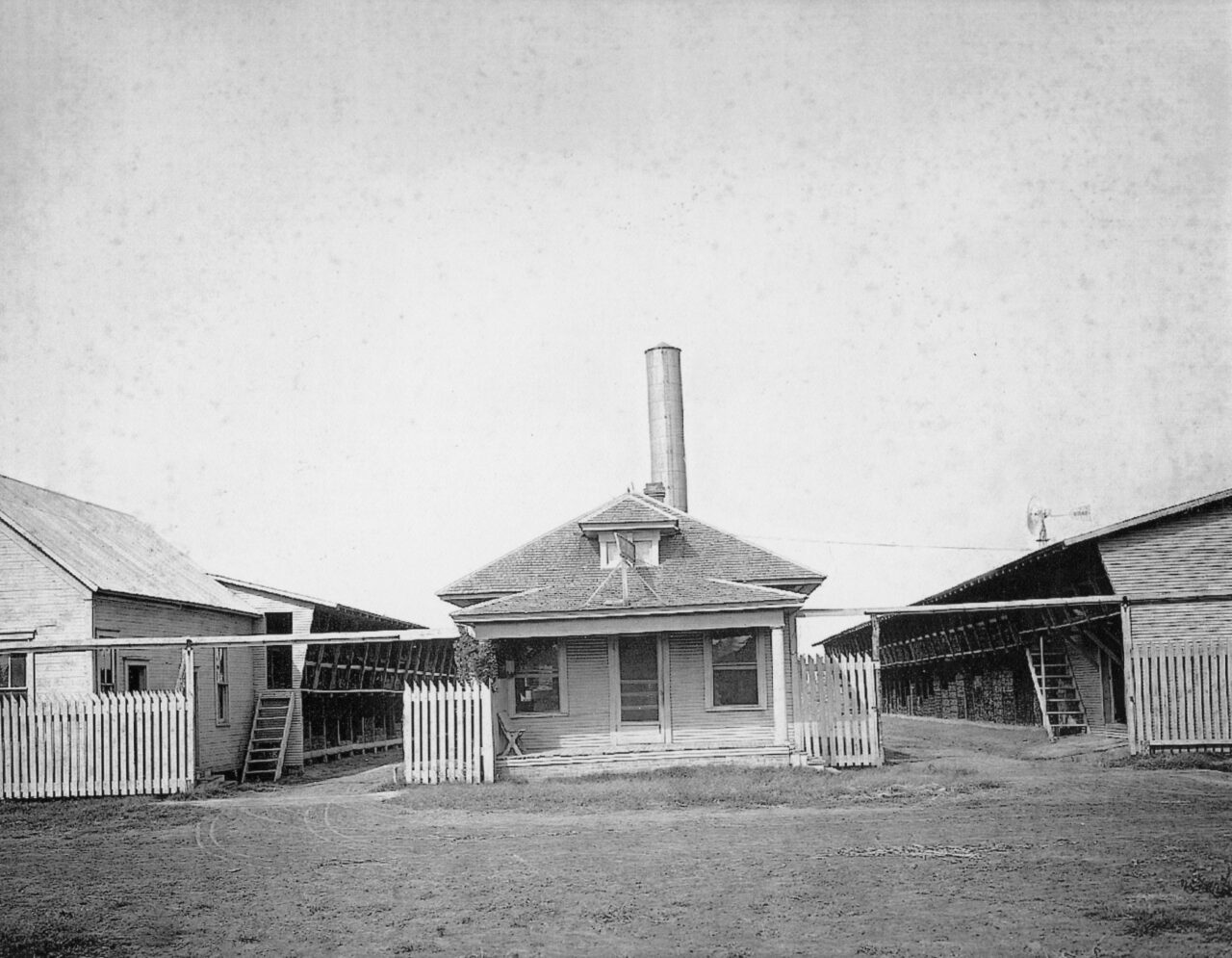 1899 - Thomas and Houston Lumber Yard