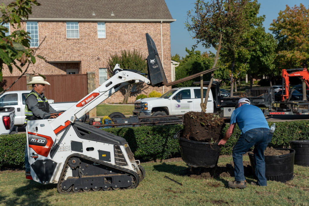 Centennial Tree Planting