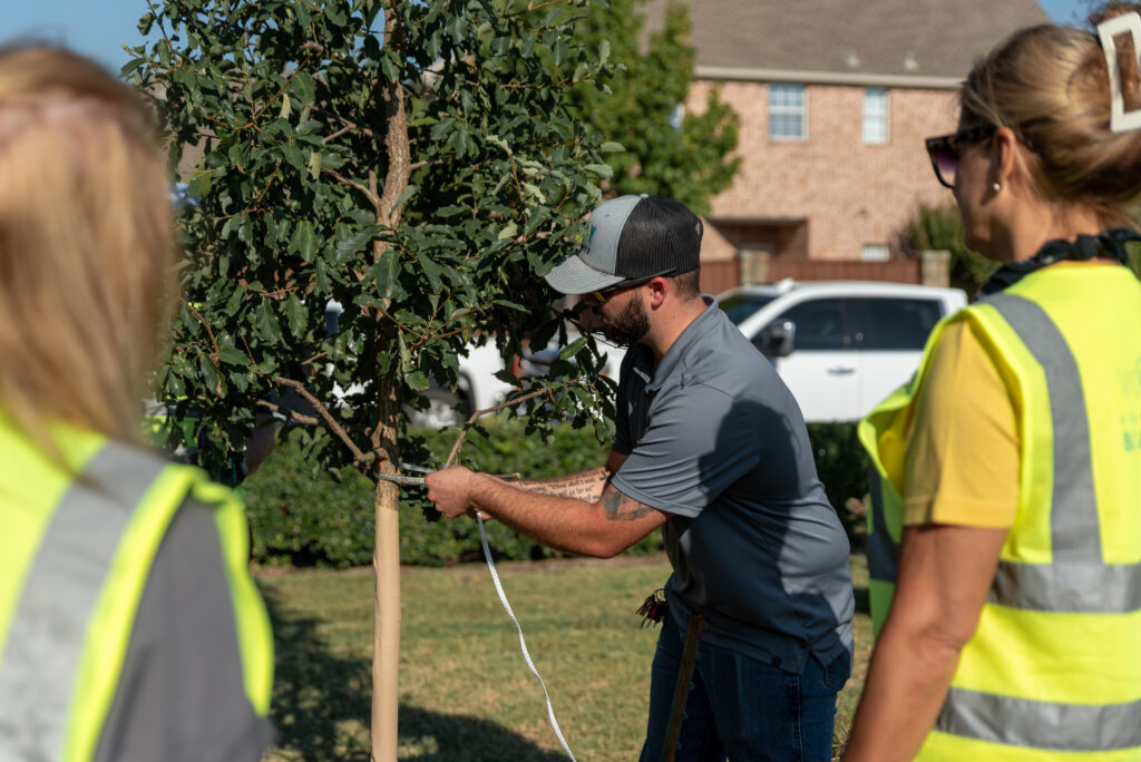 Centennial Tree Planting