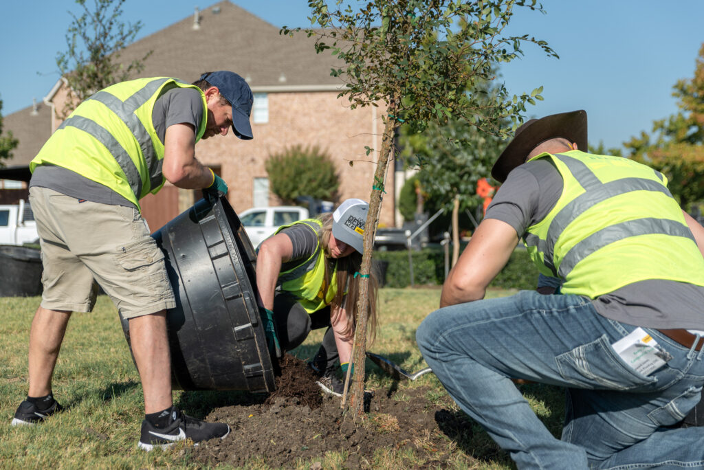Centennial Tree Planting