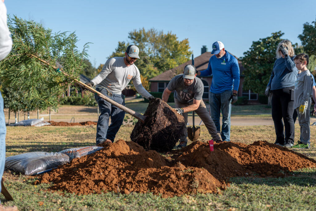 Texas Arbor Day Tree Planting